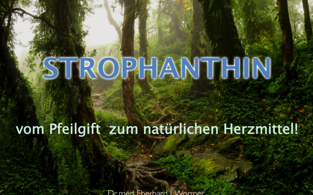 Strophantin Präsentation